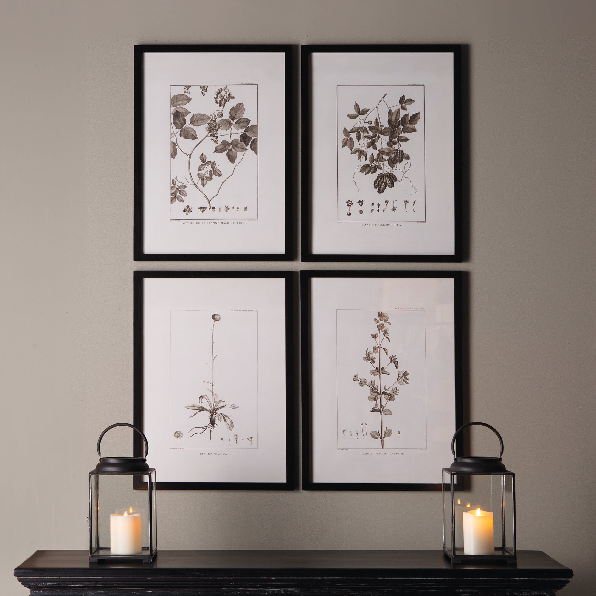 Framed Sepia Botanical Prints, Set of 4
