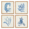 Carrie Coral Watercolor Prints Set of 4