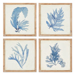 Carrie Coral Watercolor Prints Set of 4