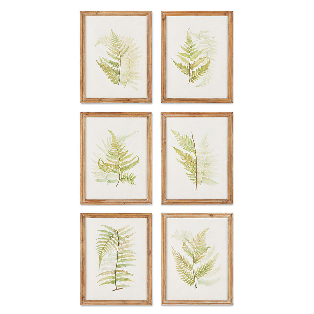 Framed Frond Study, Set of 6
