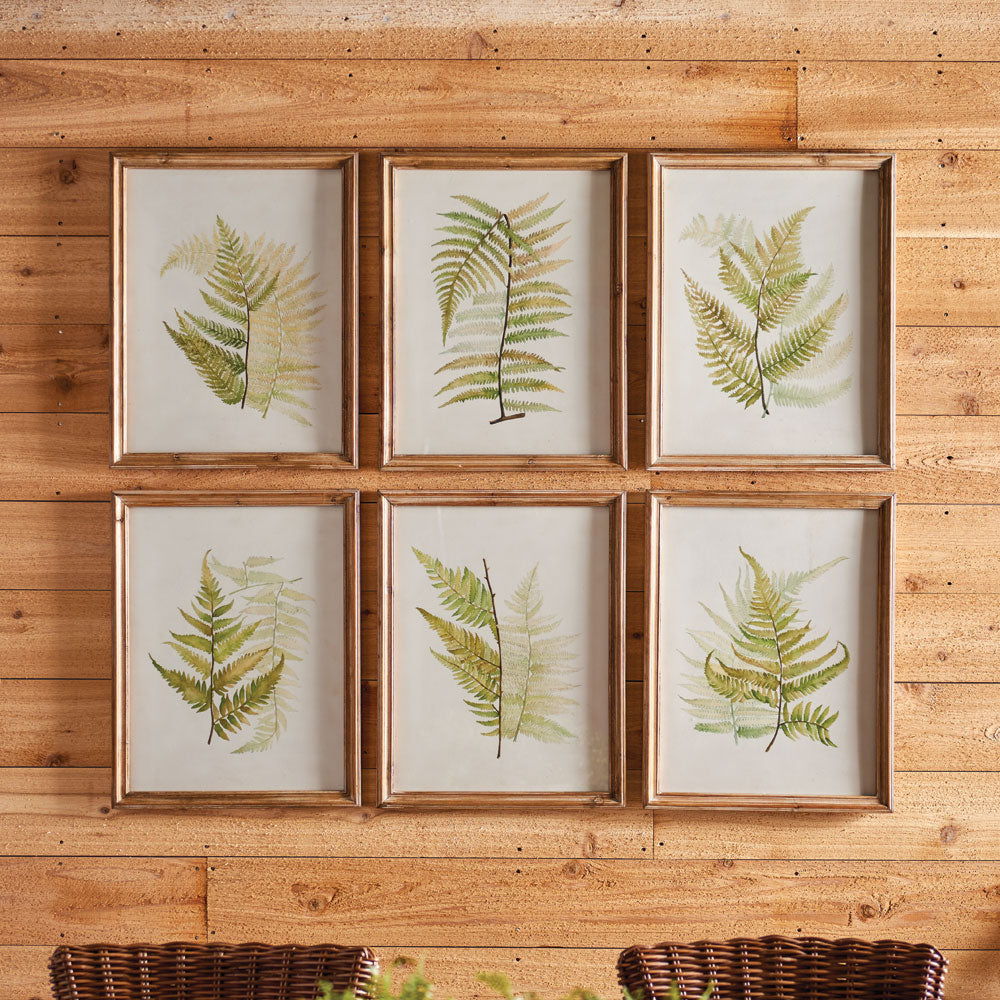 Framed Frond Study, Set of 6