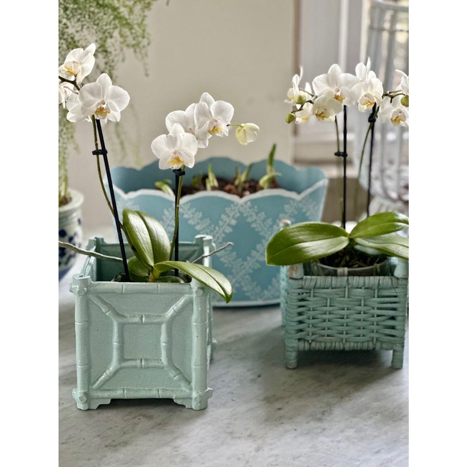 Pale Blue Bamboo Box Planter