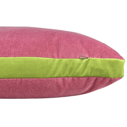 SWATCH / Dusty Rose/Wasabi