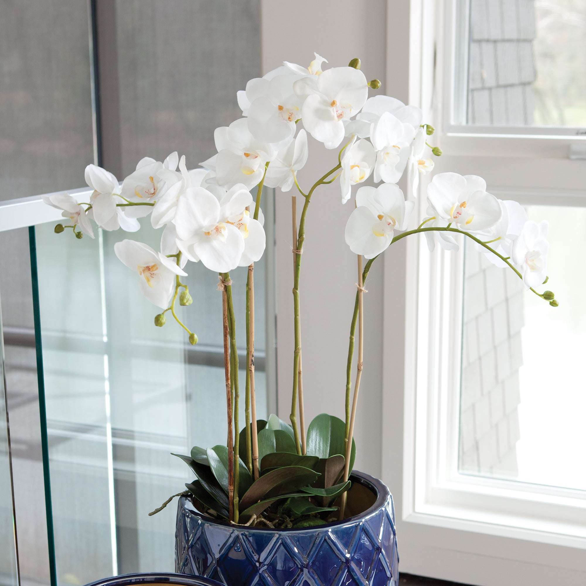 White Phalaenopsis Bowl Drop-in