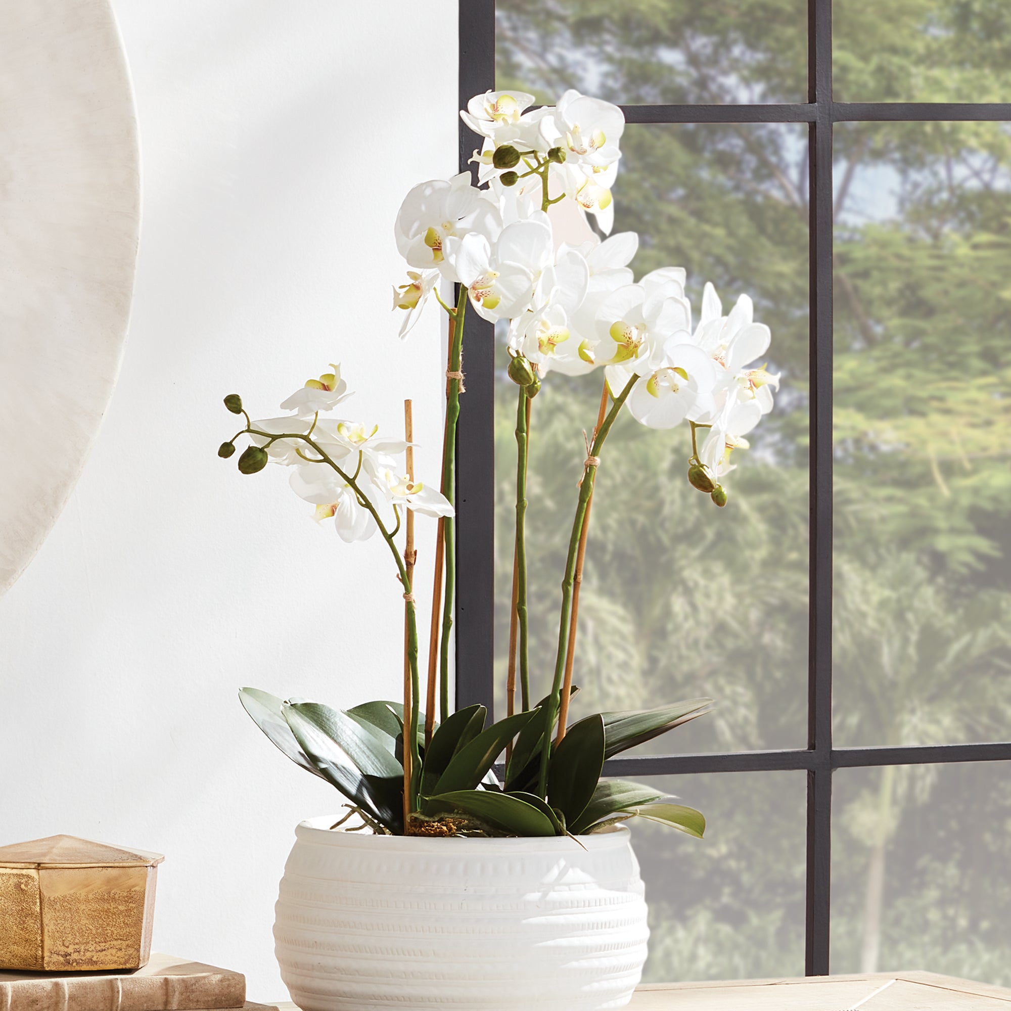 White Phalaenopsis Bowl Drop-in