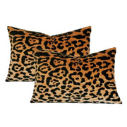 Leopard Velvet - Set of 2