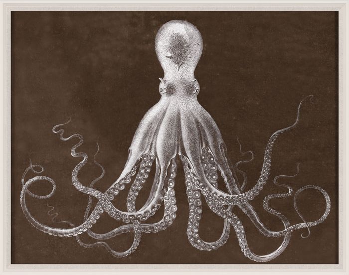 LORD BODNER IN BROWN