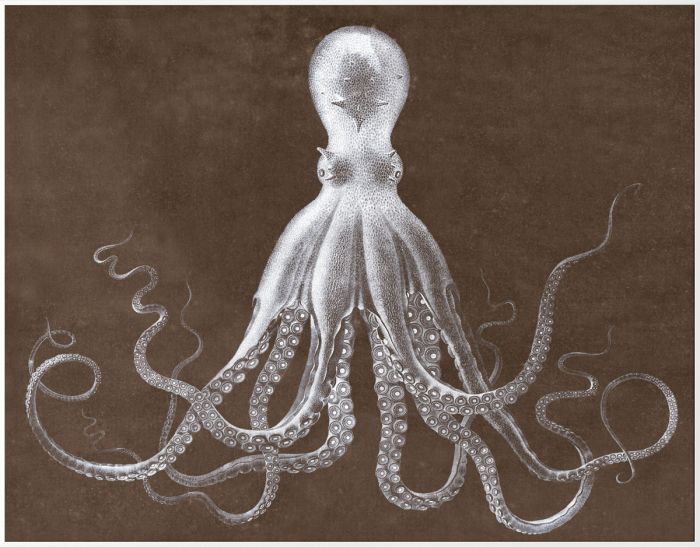 LORD BODNER IN BROWN