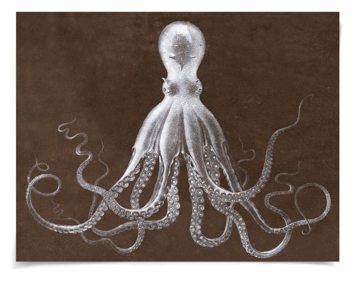 LORD BODNER IN BROWN