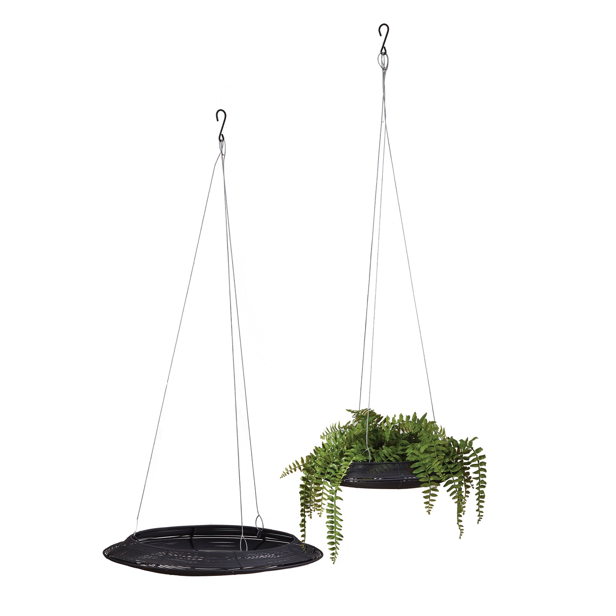 Nadia Hanging Baskets, Set of 2