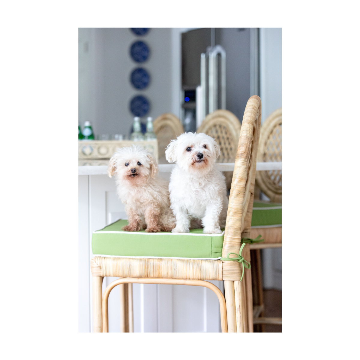 Coastal Lattice Counter Stool