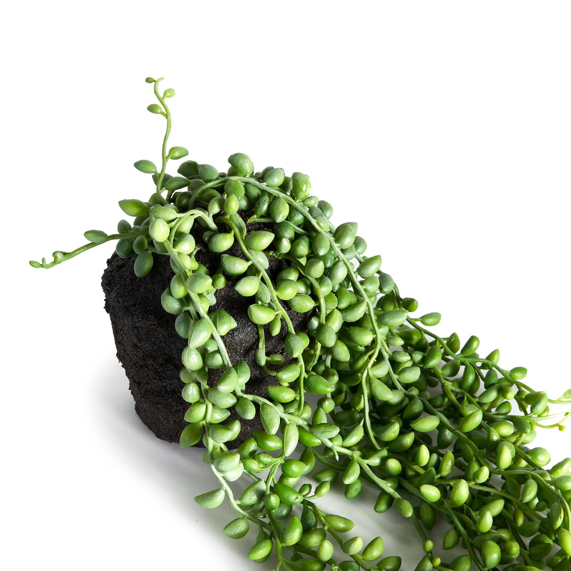 Pearl Strings Drop-in