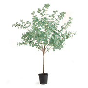 Eucalyptus Tree Drop-In