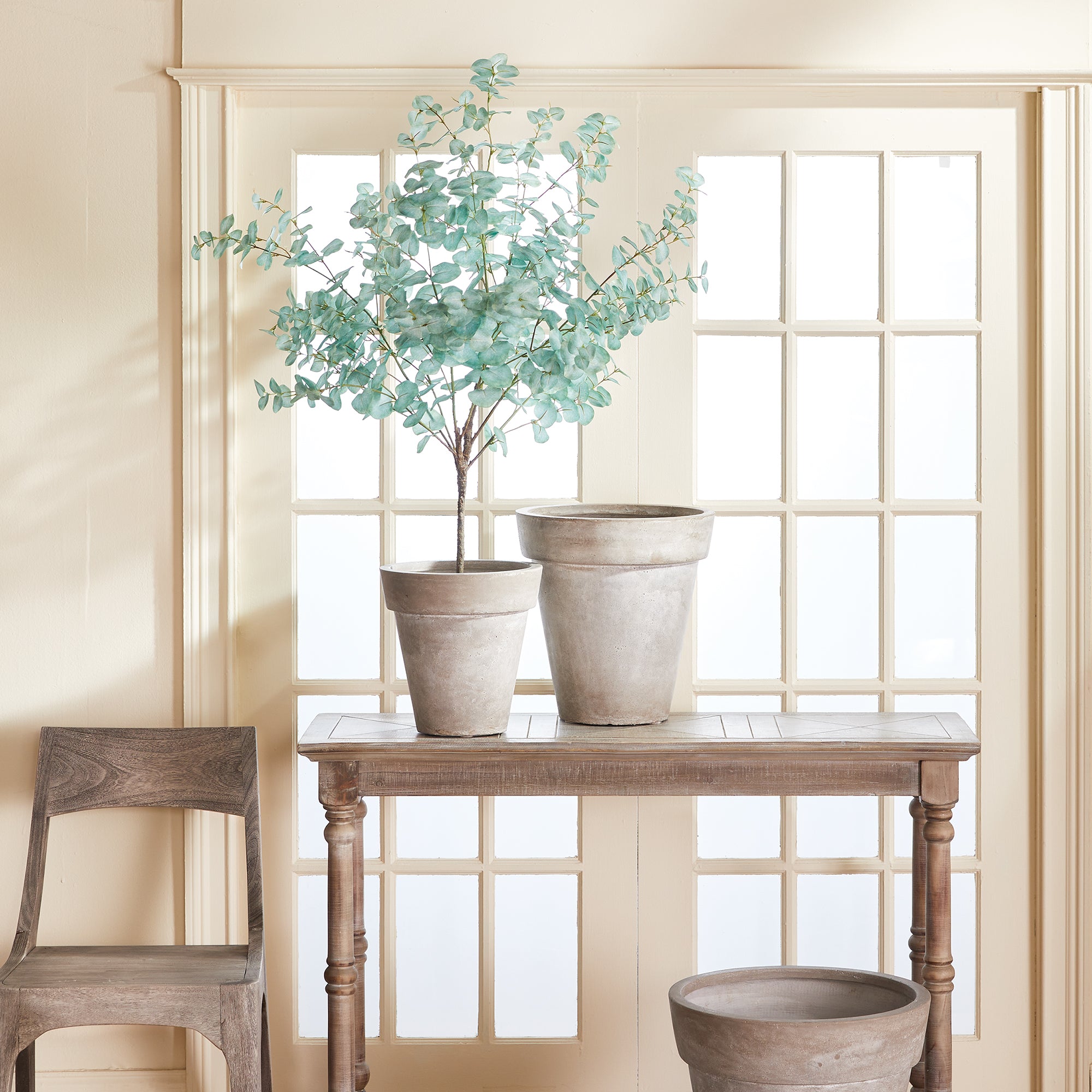 Eucalyptus Tree Drop-In