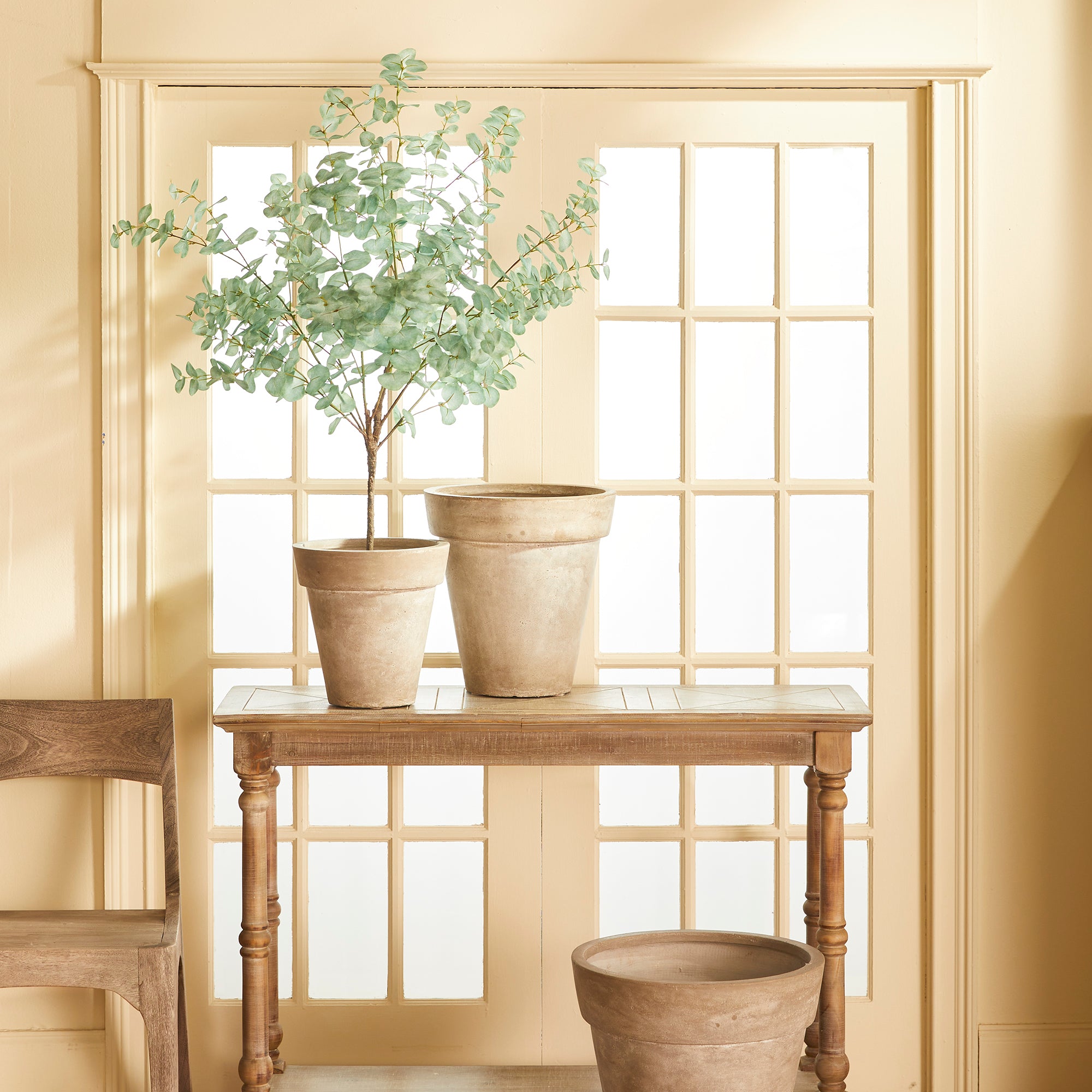 Eucalyptus Tree Drop-In