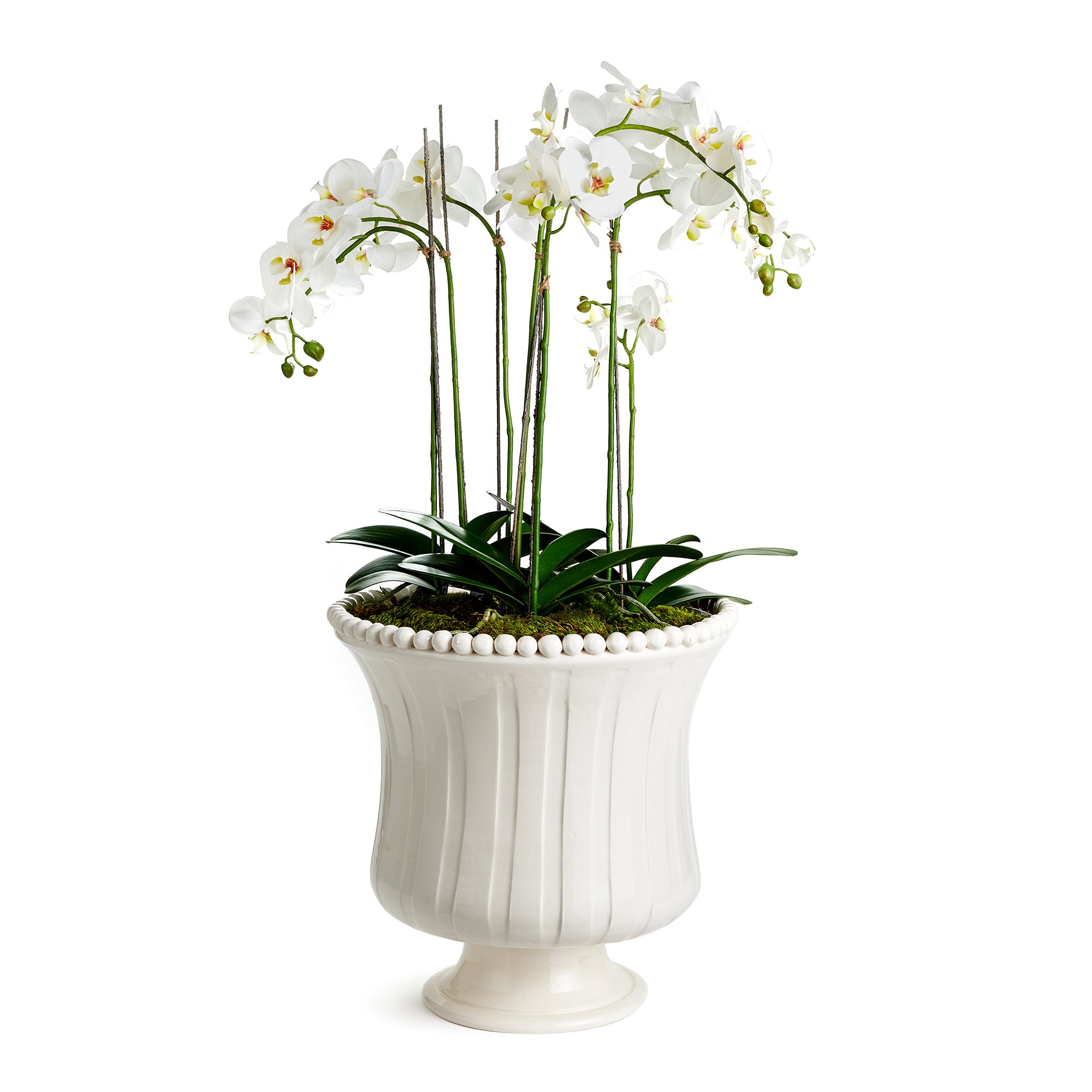 COLETTA GRANDE FLARED VASE