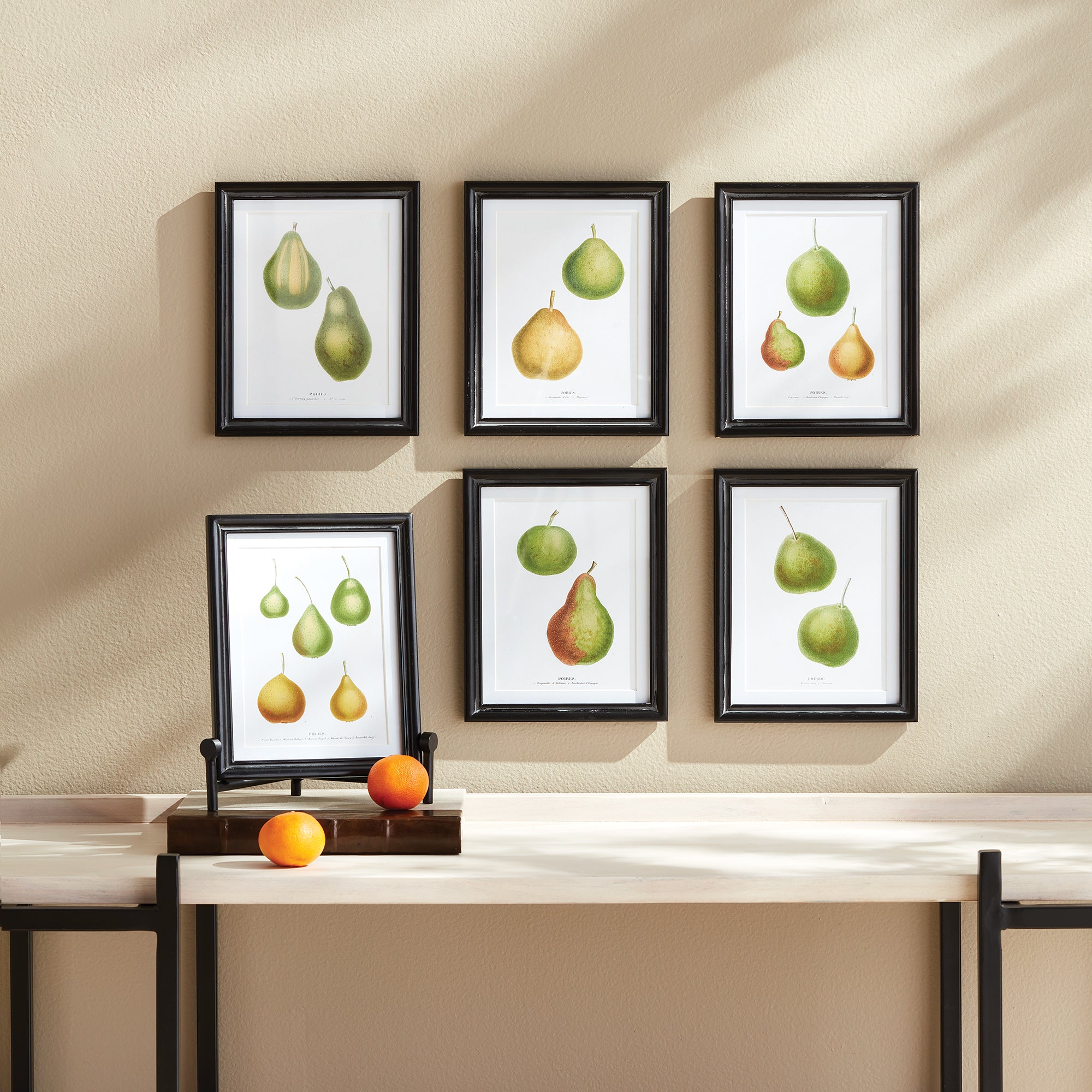 Pear Fruit Study, Set of 6