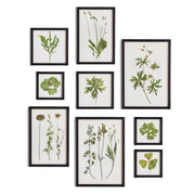 Green Foliage Prints, Set of 9