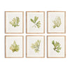 Kent Prints Set of 6