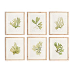 Kent Prints Set of 6