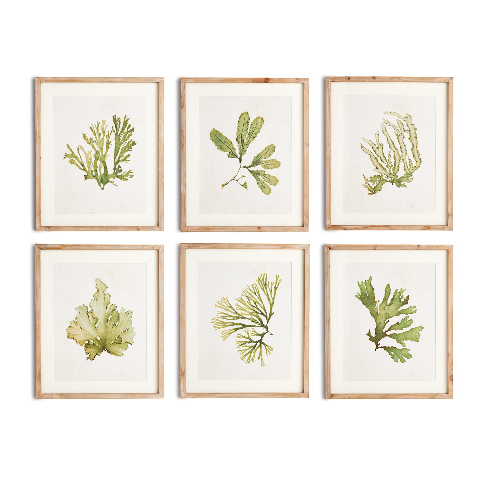 Kent Prints Set of 6