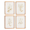 Fleura Prints, Set of 4