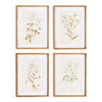 Fleura Prints, Set of 4