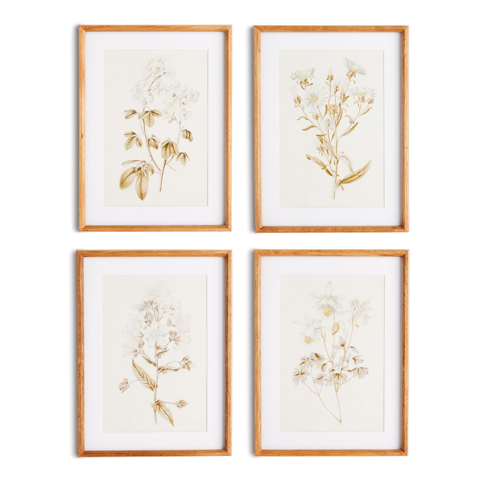 Fleura Prints, Set of 4