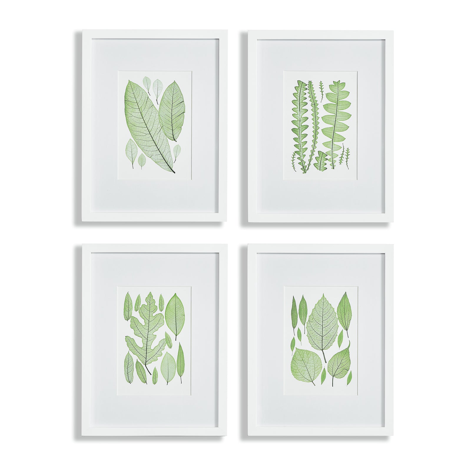 Leafy Prints, Set of 4