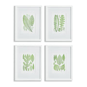 Leafy Prints, Set of 4