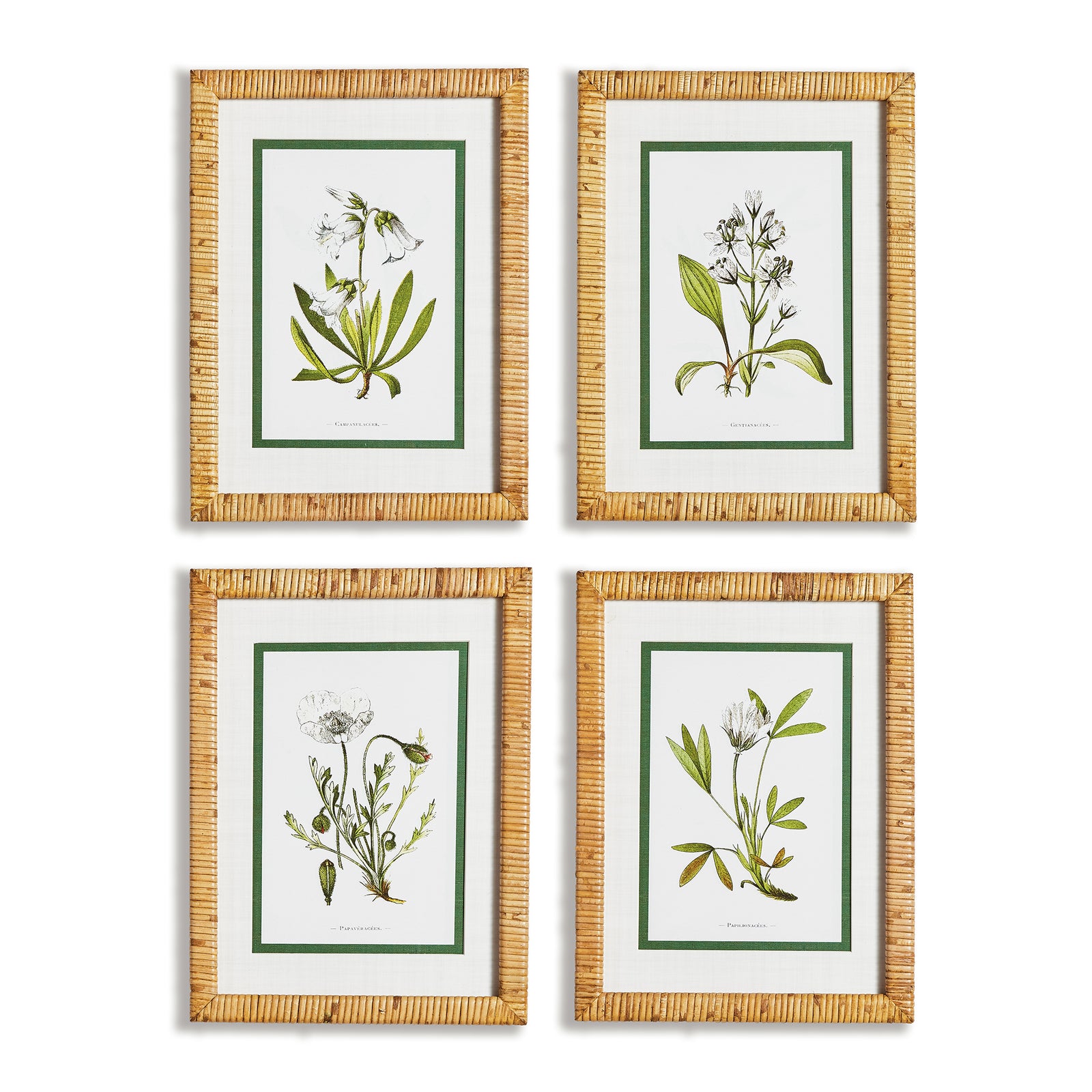 Ivory Floral Study Set of 4