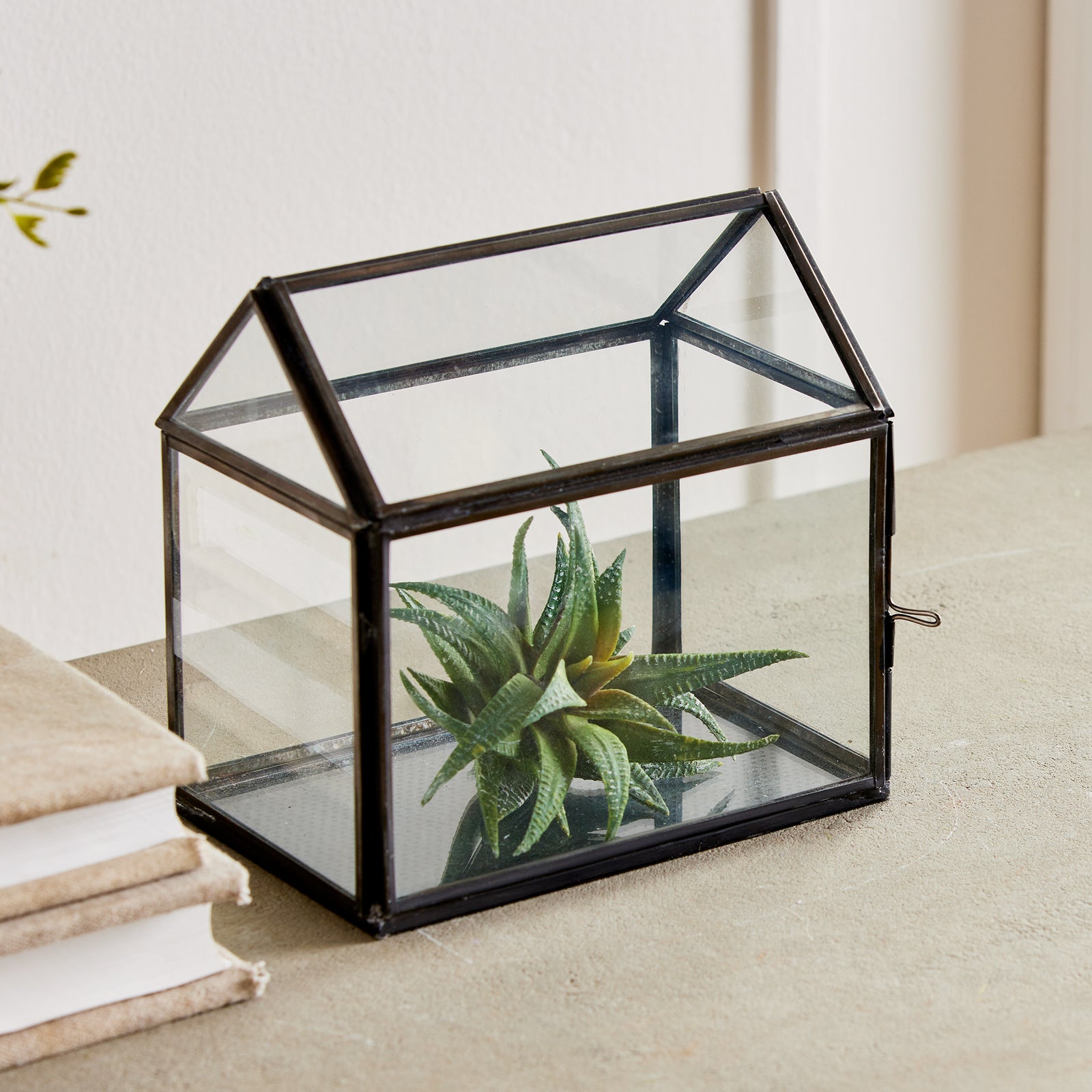 Caitlin Terrarium Small