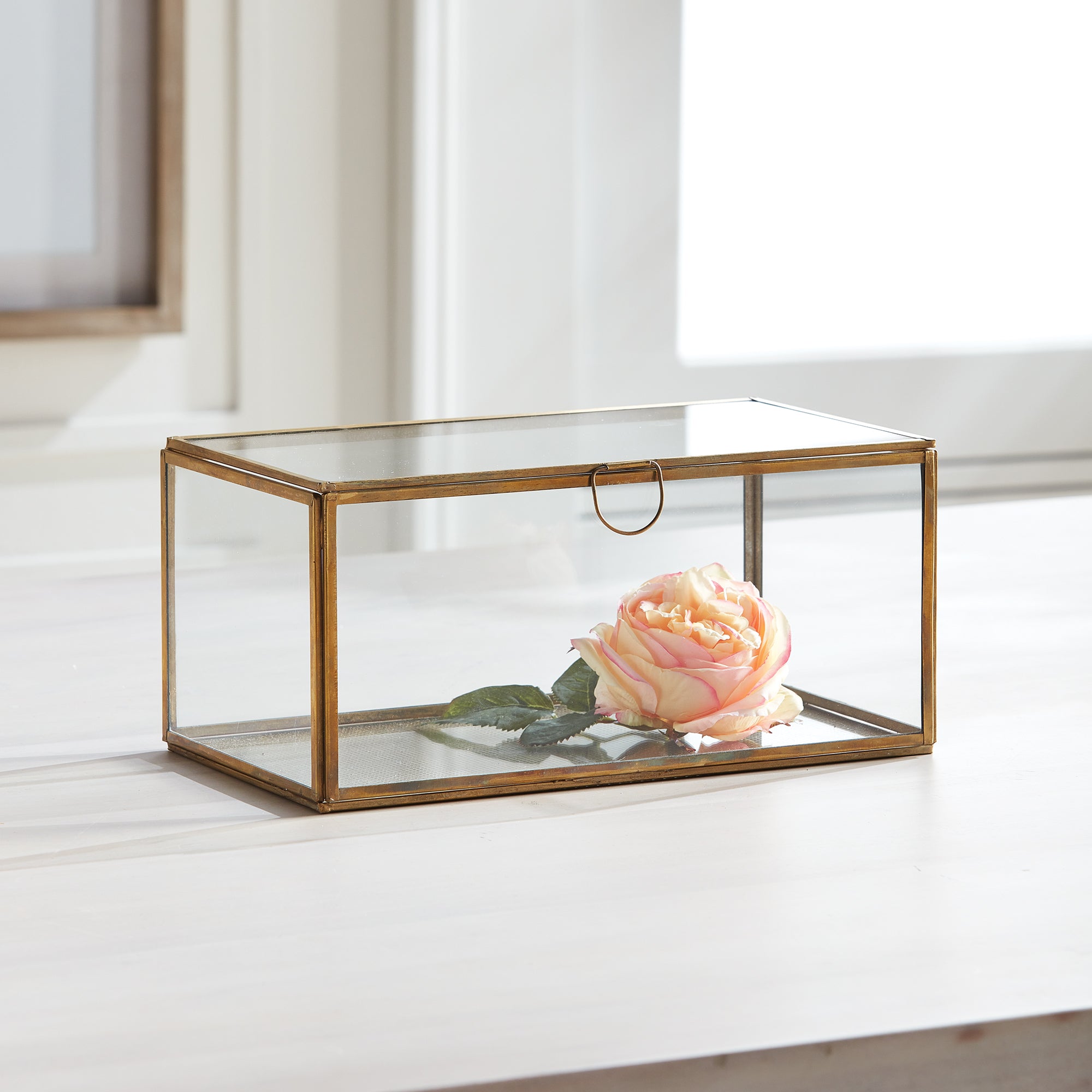 Leera Rectangular Display Box