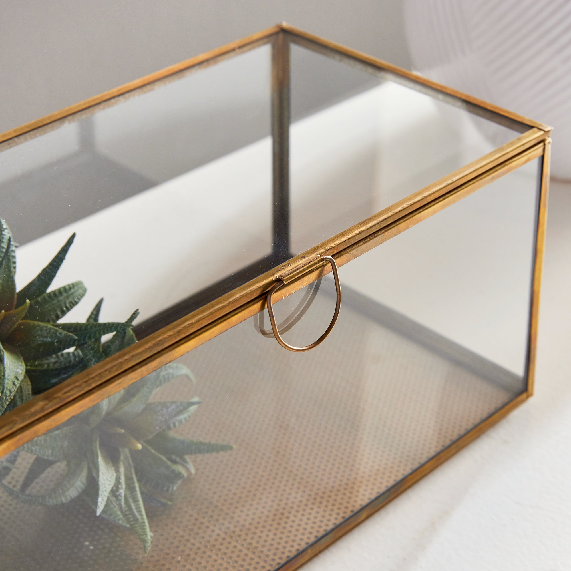 Leera Rectangular Display Box