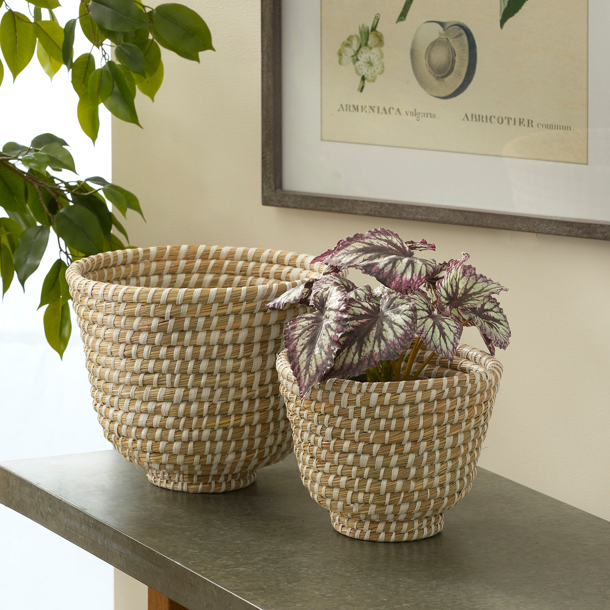 Raven Decorative Footed Bowls, Set of 2