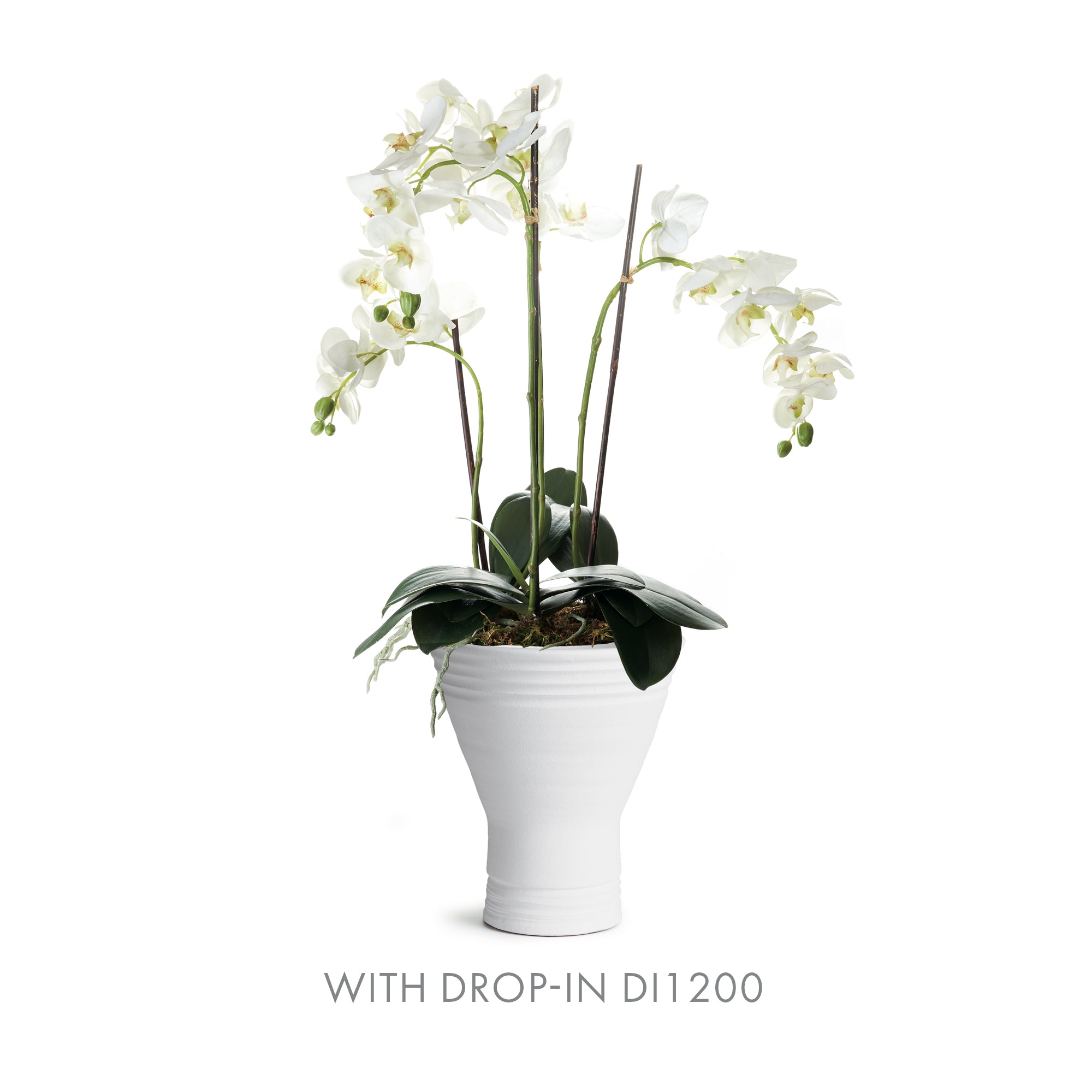 Egbert Vase