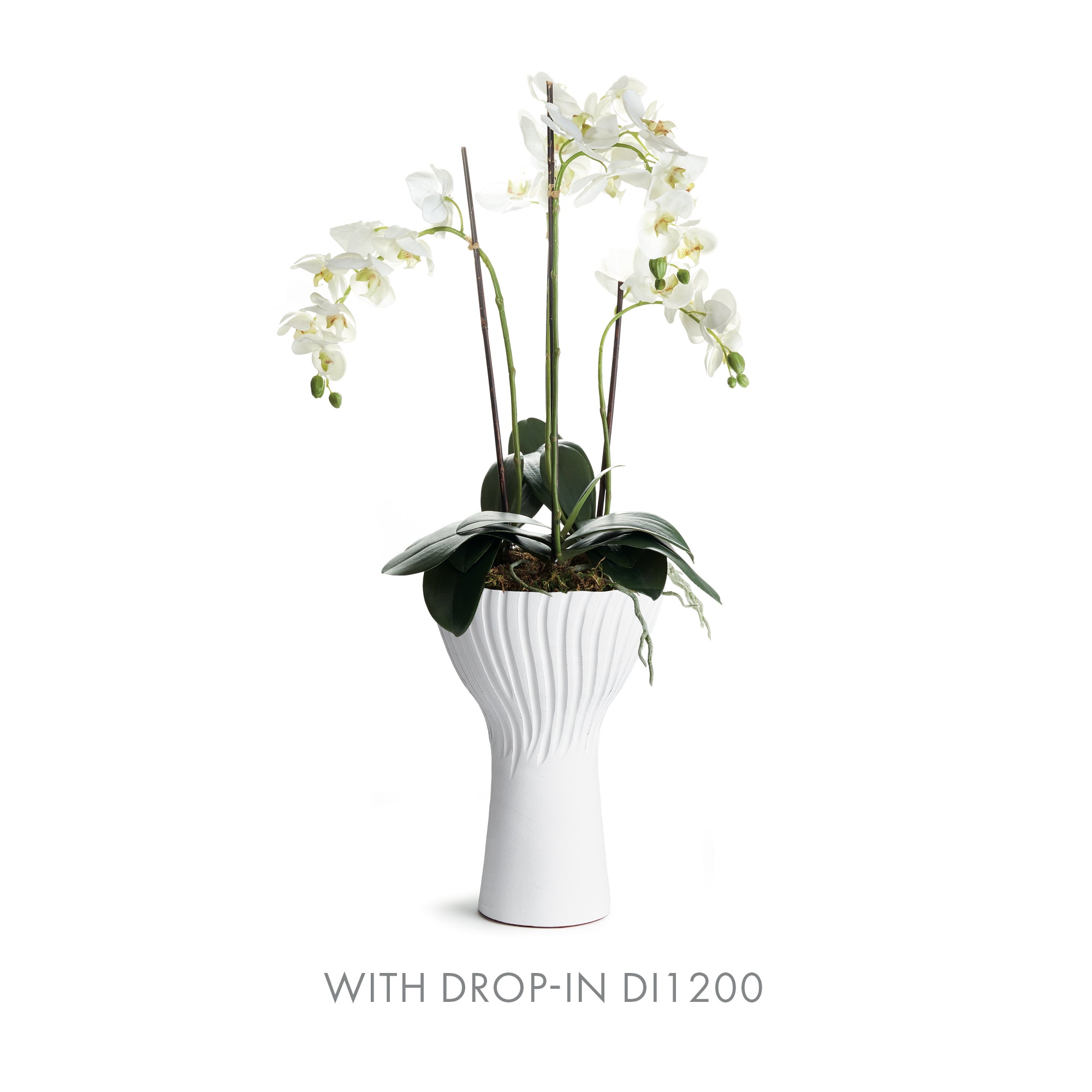 Egbert Vase