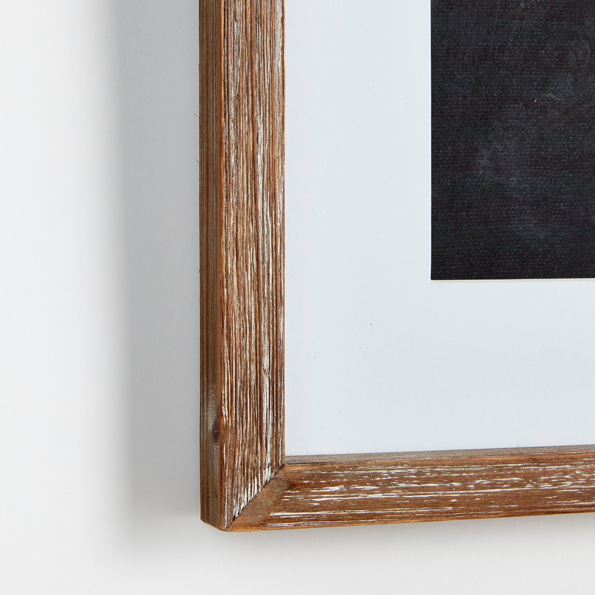 Atelier Monochrome Botanical Prints, Set of 4