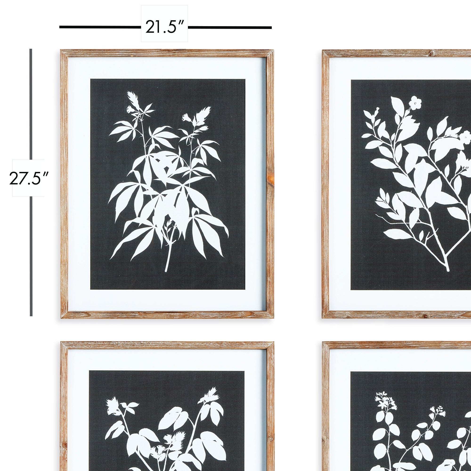 Atelier Monochrome Botanical Prints, Set of 4