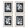 Atelier Monochrome Botanical Prints, Set of 4