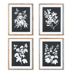 Atelier Monochrome Botanical Prints, Set of 4