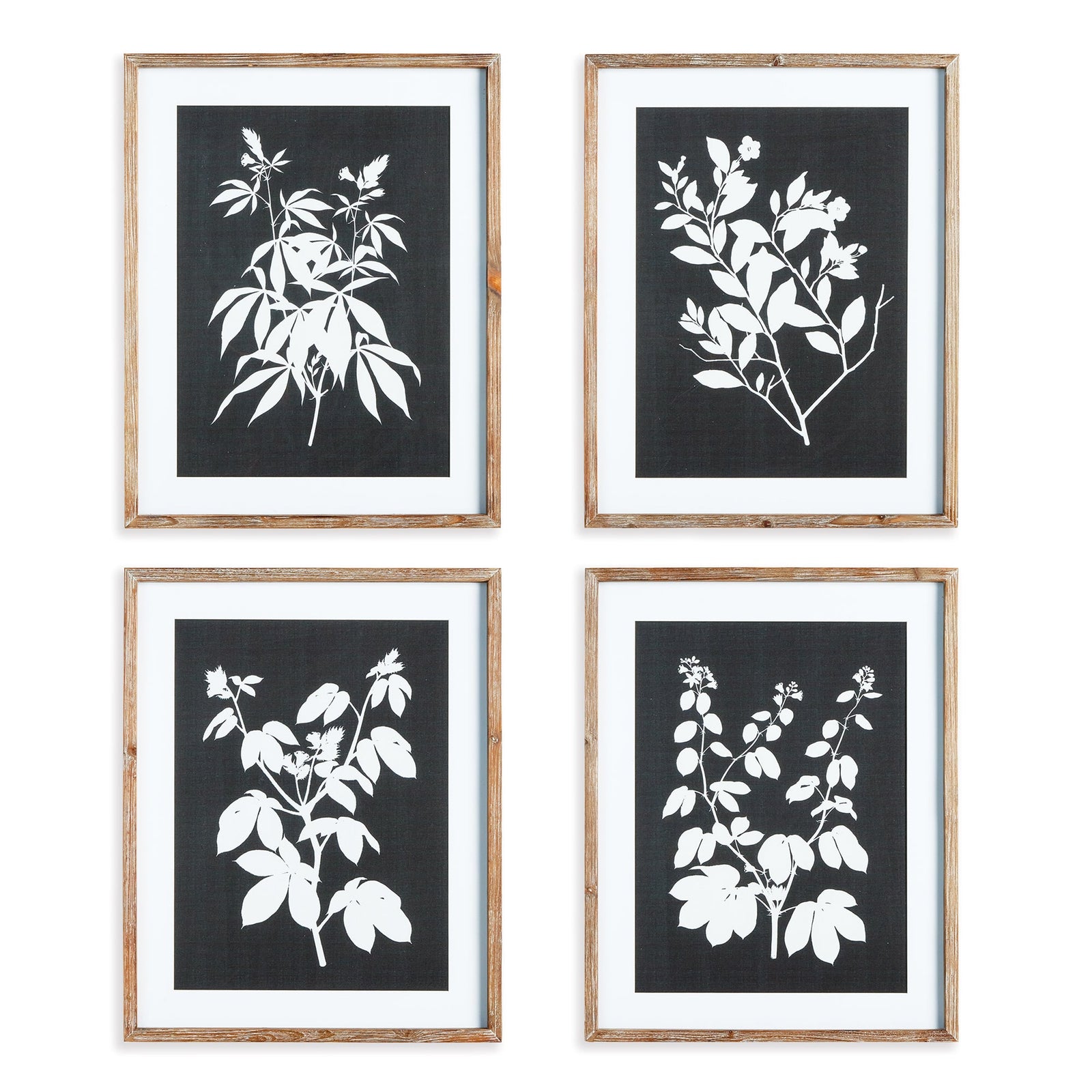 Atelier Monochrome Botanical Prints, Set of 4