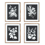 Atelier Monochrome Botanical Prints, Set of 4
