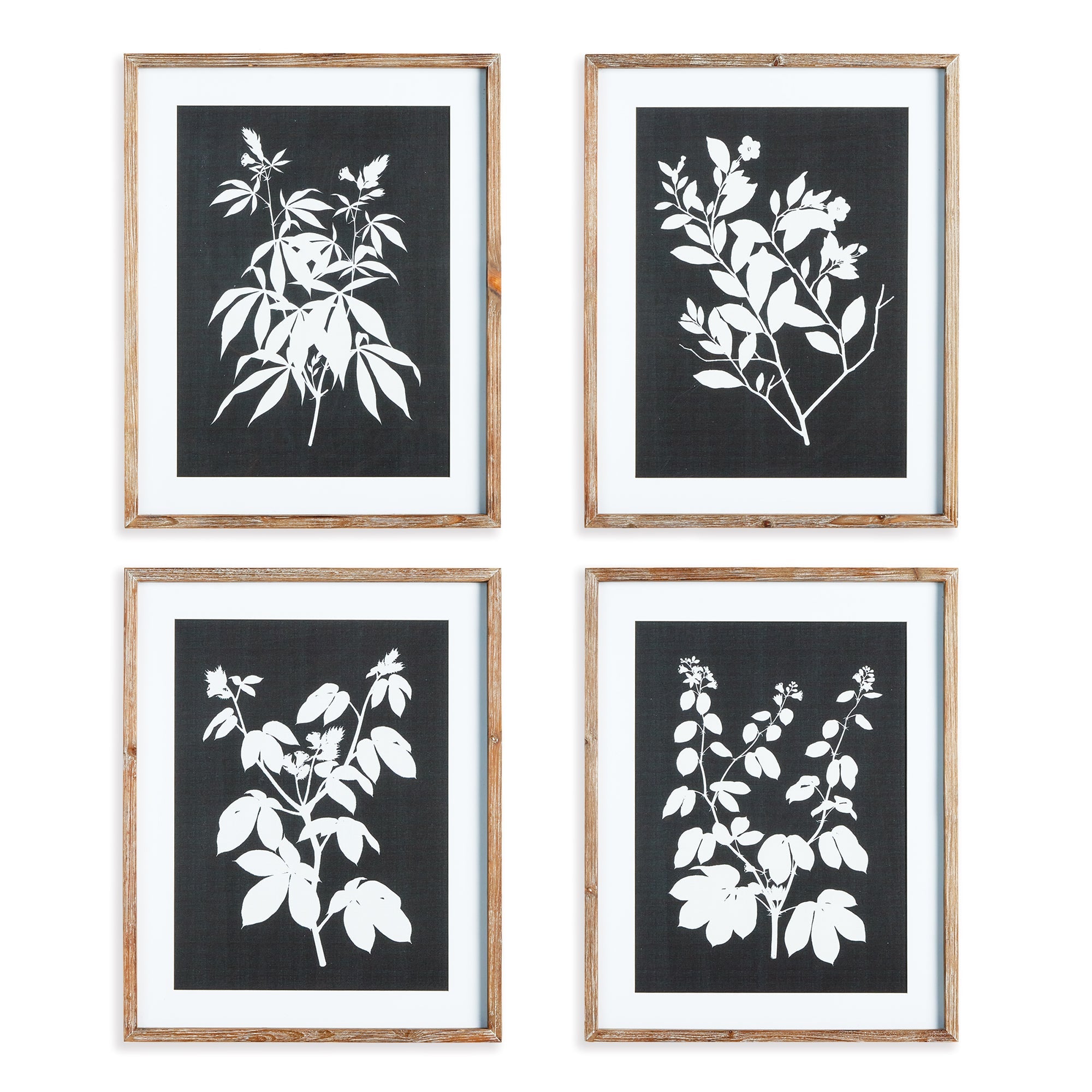 Atelier Monochrome Botanical Prints, Set of 4