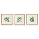 The Leaf Press Petite Prints, Set of 3