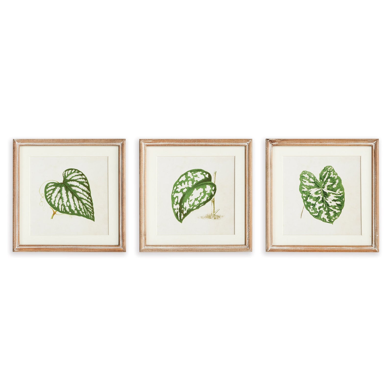 The Leaf Press Petite Prints, Set of 3
