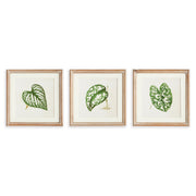The Leaf Press Petite Prints, Set of 3