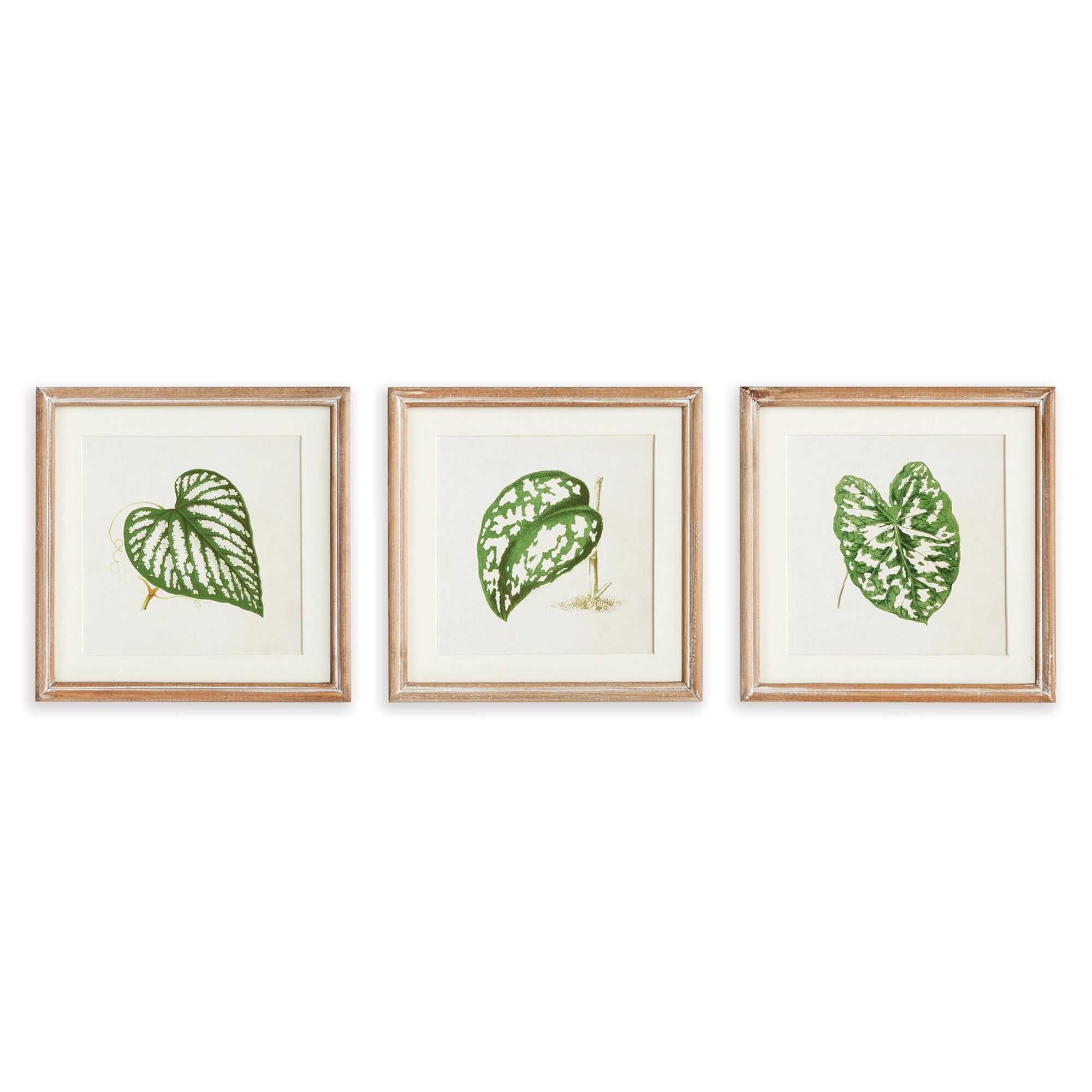 The Leaf Press Petite Prints, Set of 3