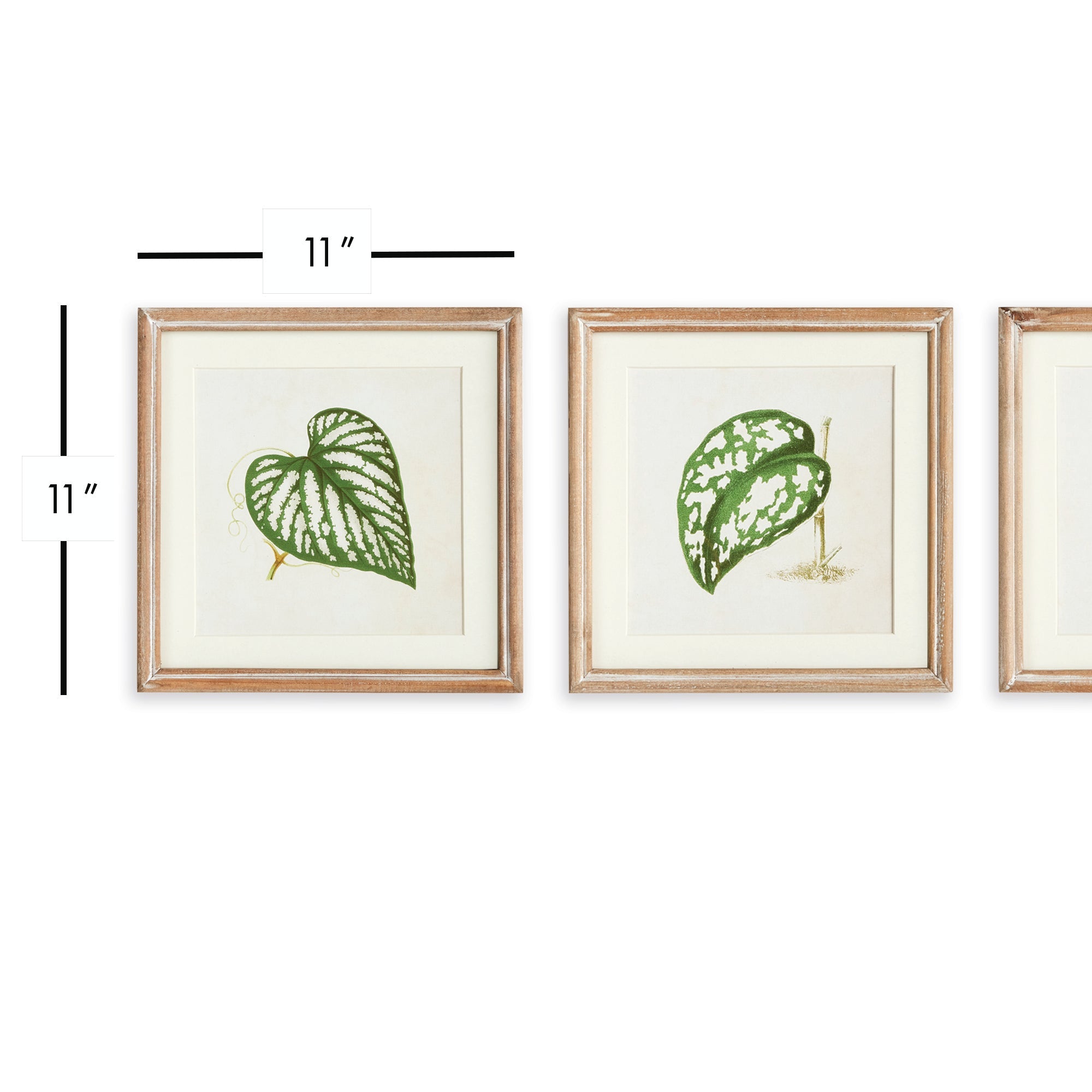 The Leaf Press Petite Prints, Set of 3