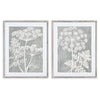 Blushing Queen Anne's Lace Prints, Set of 2